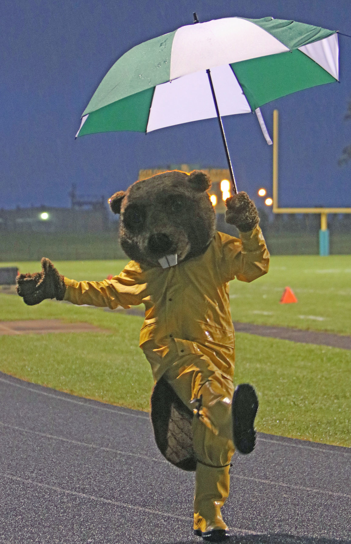 Benny The Beaver